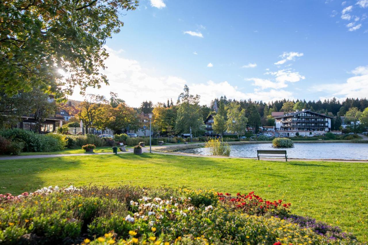 Hexenglueck Und Hexenzauber Hahnenklee Apartment Goslar Bagian luar foto